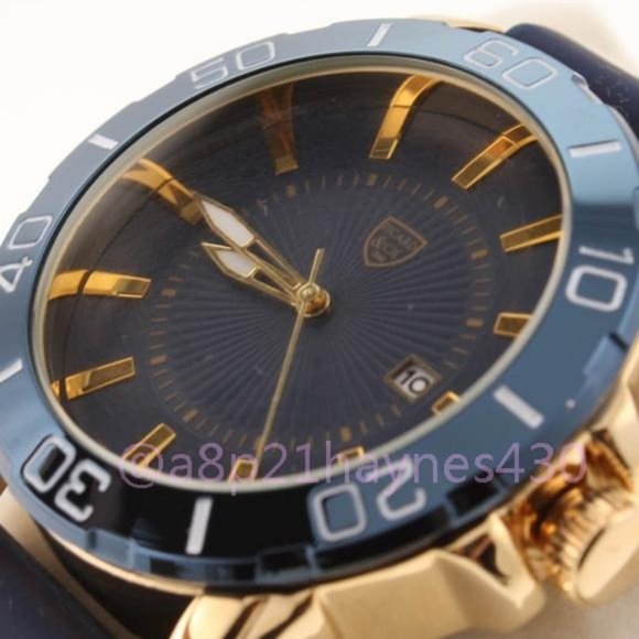 Pi·card & Cie Halberd Men's Watch